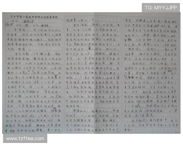 张奔斗分享与徐一璠共同开展的小作文训练课心得与体会