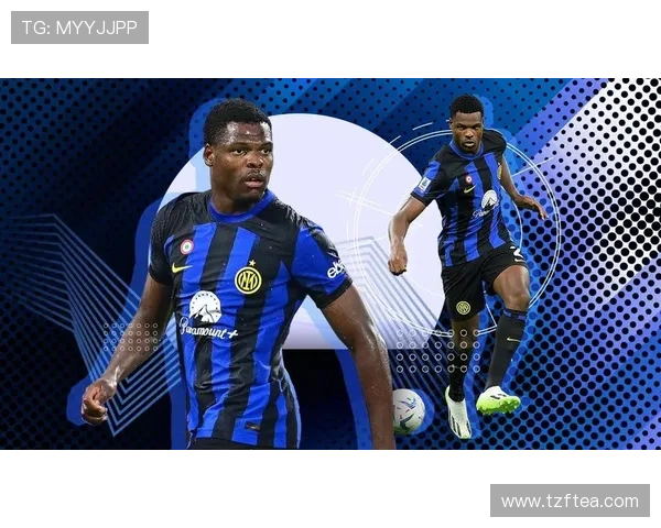 国米确认邓弗里斯伤势轻微球员明日回意大利进行理疗